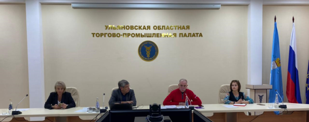 Заседание регионального общественного совета Ульяновской области по российскому проекту «Выбирай своё»